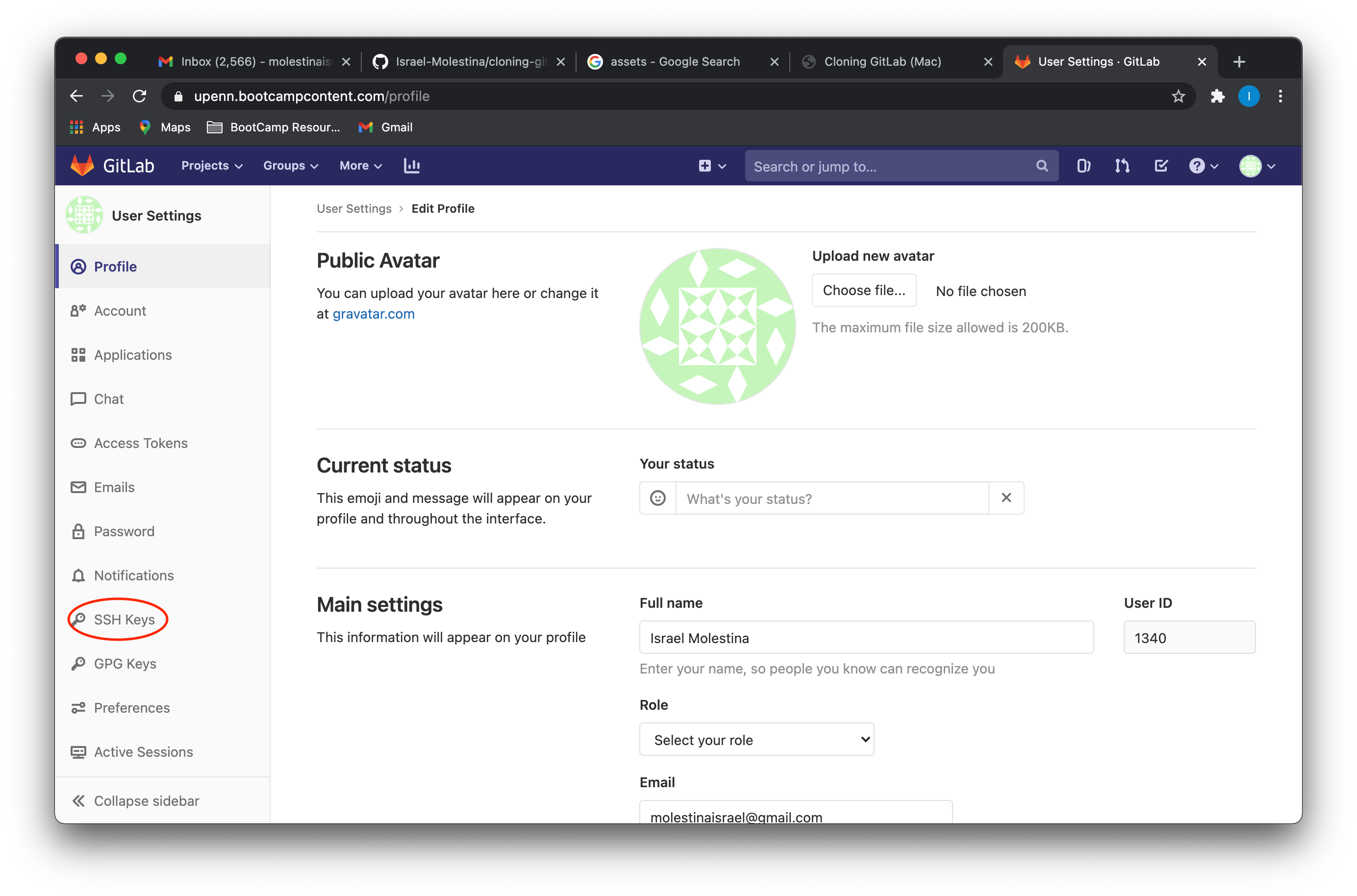 GitLab settings open with SSH Keys cirlced